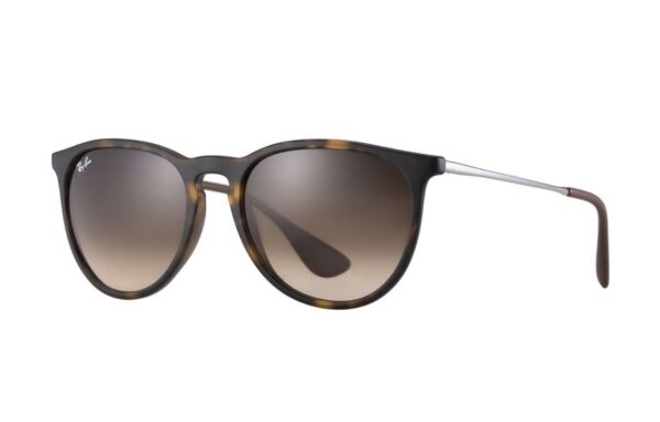 Ray-Ban Erika Classic Sunglasses
